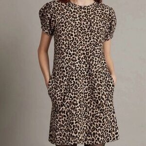 Velvet by Graham and Spencer Leopard print dress